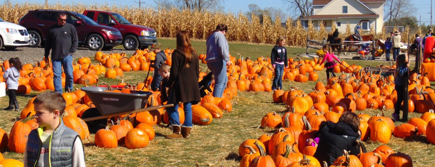 🇨🇦 The Keene Pumpkin Festival